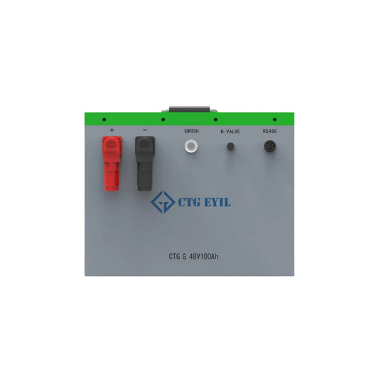 Golf Cart 48V 100Ah Lithium Ion Battery