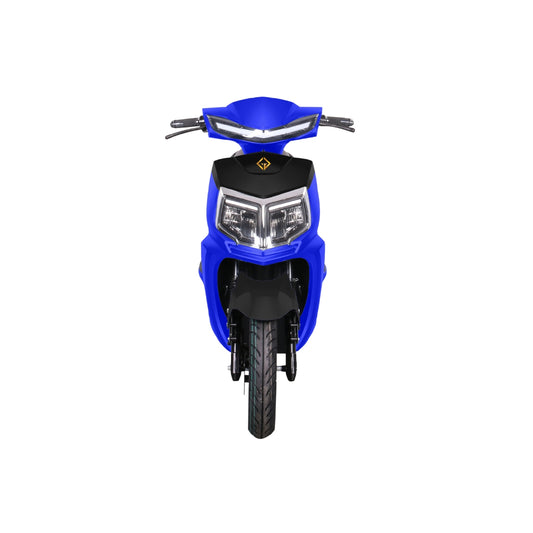eSwap R25 Electirc Vehicle with Battery & Charger