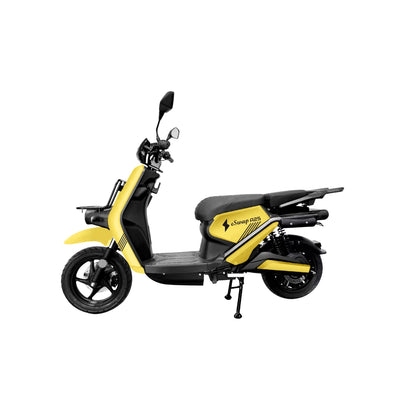 eSwap A25 Electirc Vehicle with Battery & Charger